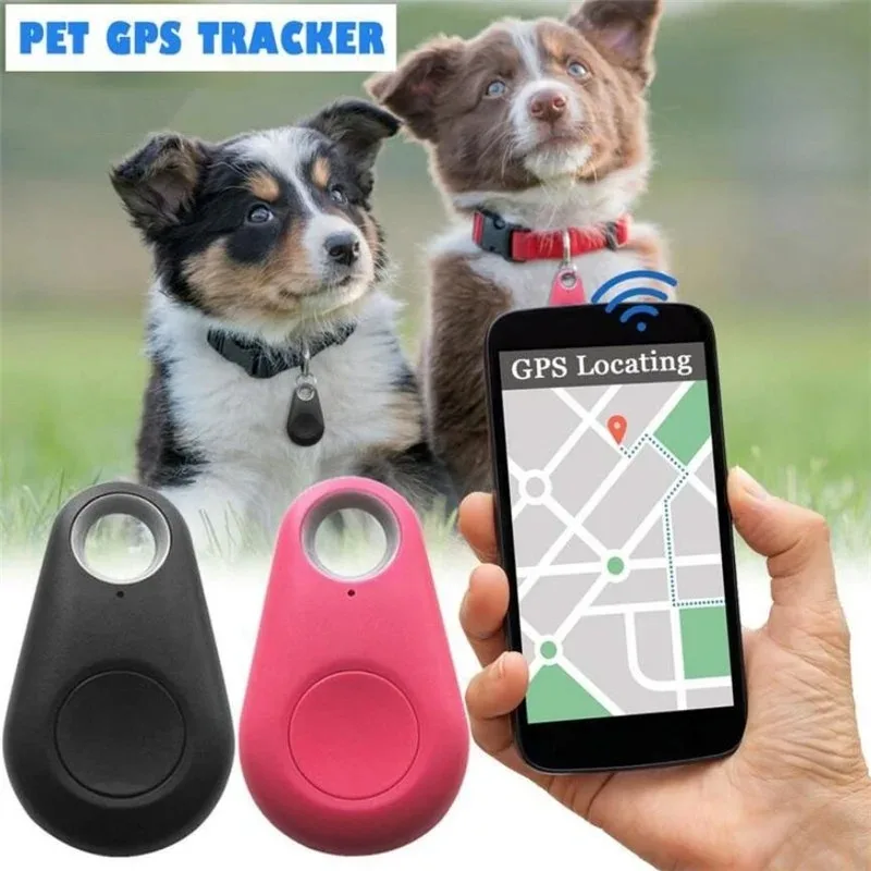 Mini Fashion Smart Dog Pets Bl - مراجعة Compass Keychain Mini وسعره