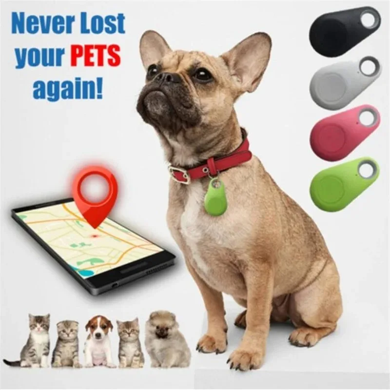 Mini Fashion Smart Dog Pets Bl - مراجعة Compass Keychain Mini وسعره