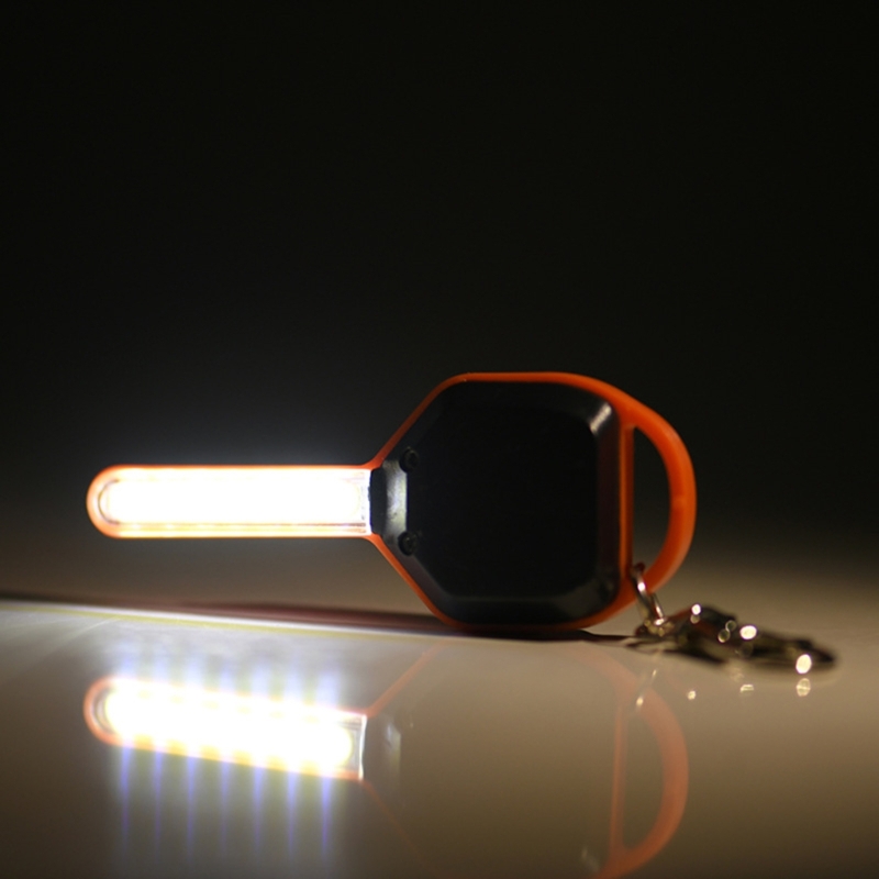 Mini Keychain  Keys Shape Mini - مراجعة Compass Keychain Mini وسعره