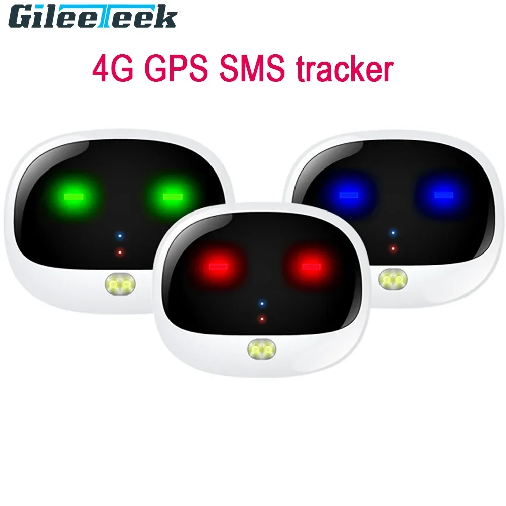 RF-V43 Mini 4G GPS Pets Tracke - مراجعة Compass Keychain Mini وسعره