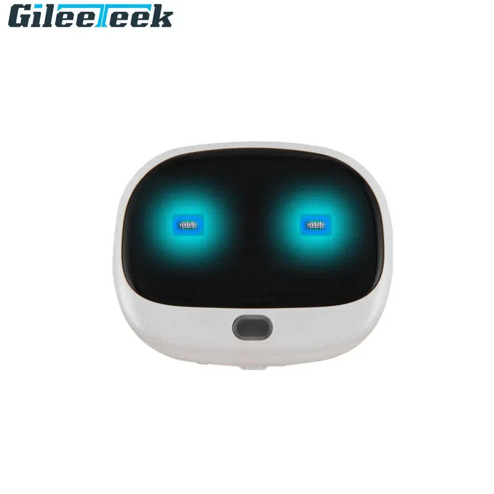 RF-V43 Mini 4G GPS Pets Tracke - مراجعة Compass Keychain Mini وسعره