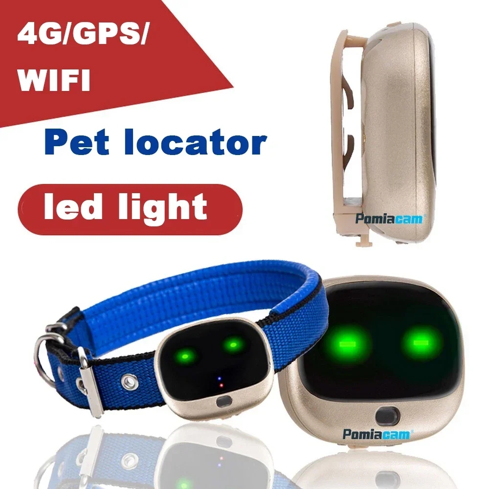 RF-V43 Mini 4G GPS Pets Tracke - مراجعة Compass Keychain Mini وسعره