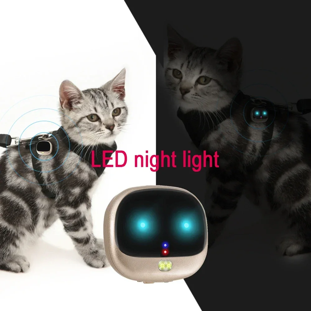 RF-V43 Mini 4G GPS Pets Tracke - مراجعة Compass Keychain Mini وسعره