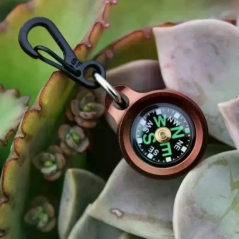 Mini Aluminum Alloy Compass Ke - مراجعة Compass Keychain Mini وسعره